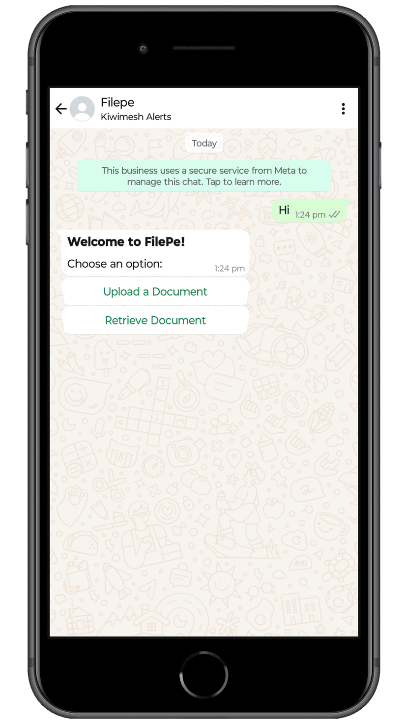 Filepe App Interface
